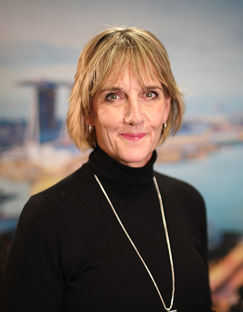 Business Solutions Director