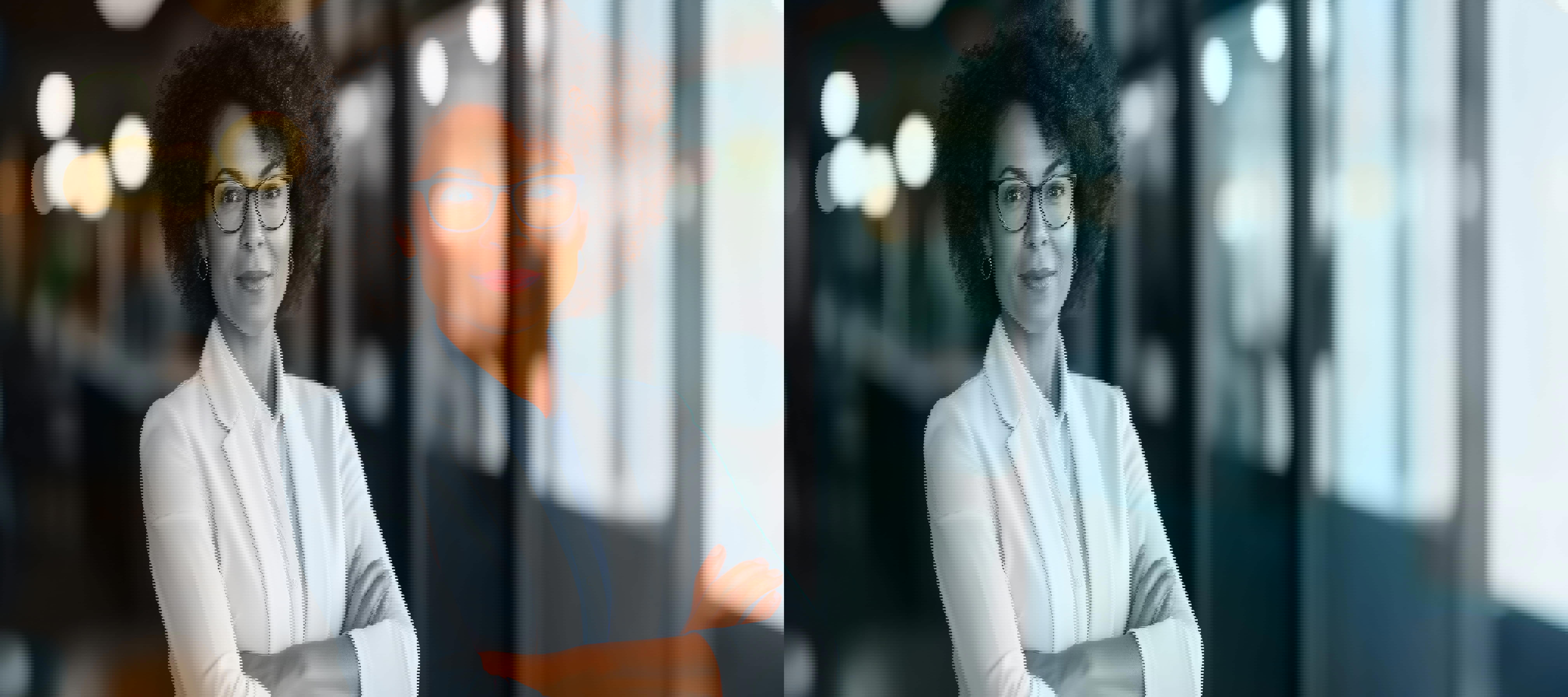 Elevate your success